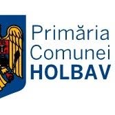 Primaria Holbav, program de funcționare