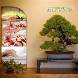 Salon Bonsai (Salon de înfrumuseţare), Braşov program de funcționare