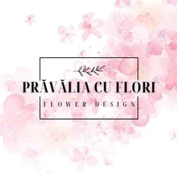 Prăvălia cu Flori Events, Botoşani program de funcționare