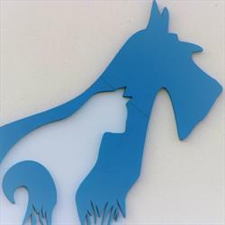 Daroczi Vet Clinic, Moşniţa Nouă program de funcționare