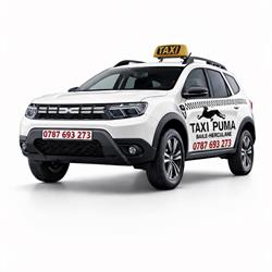 Taxi Puma Baile Herculane, program de funcționare