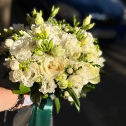 Floraria Laura, Brăila program de funcționare