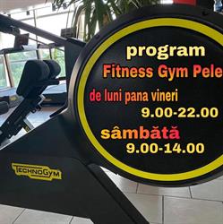 Fitness Gym PELE, Lugoj program de funcționare
