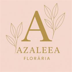 Floraria Azaleea-Stei Bihor, program de funcționare