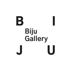 Biju Gallery, Cluj-Napoca program de funcționare