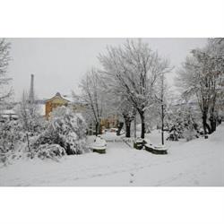 Pensiune La conu' IANCU, Drobeta-Turnu Severin program de funcționare