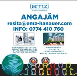emz HANAUER ROMANIA S.R.L., Reşiţa program de funcționare
