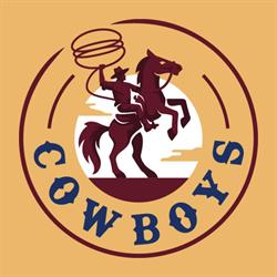 Cowboys Timisoara, program de funcționare