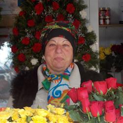 Floraria lui Pavel, Bucureşti program de funcționare
