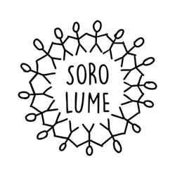 Soro.lume, Bucureşti program de funcționare