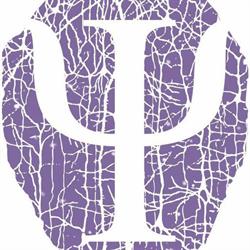 Department of Psychology - West University of Timisoara, program de funcționare
