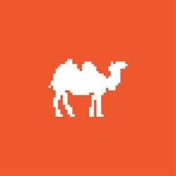 CamelWeb Creations, Târgu Mureş program de funcționare