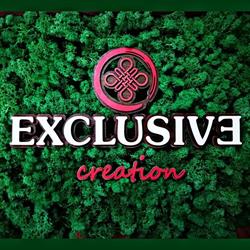Exclusive Creation, Botoşani program de funcționare
