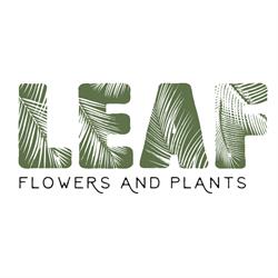 Leaf Shop, Cluj-Napoca program de funcționare