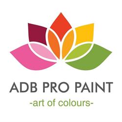 ADB Pro Paint, Cluj-Napoca program de funcționare