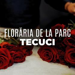 Florăria de la parc (Str. Republicii 3 bis, Tecuci), program de funcționare