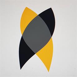 Oral Art Studio, Oradea program de funcționare
