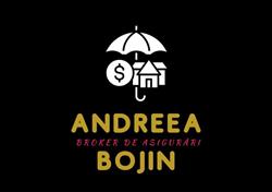 Broker de asigurări - Andreea Bojin, Sânandrei program de funcționare