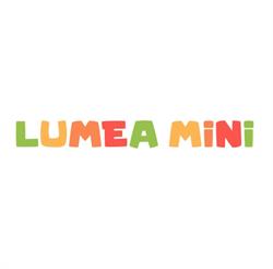 Lumea Mini, Rediu program de funcționare