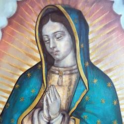 Regina Pacii, Timişoara program de funcționare