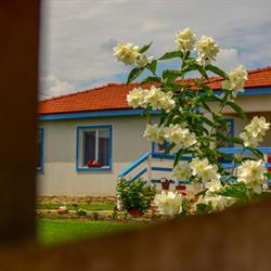 Casa de la Balta, Vişina program de funcționare
