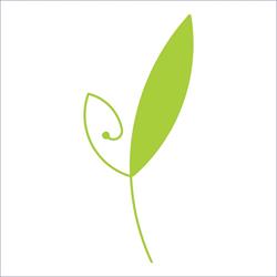 Emotii florale, Iaşi program de funcționare