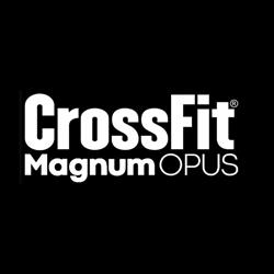 Magnum Opus CrossFit (Dej), program de funcționare