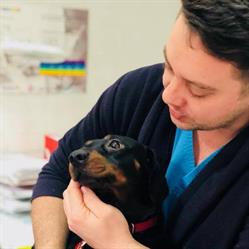 Cabinet Veterinar Picovet, Bucureşti program de funcționare