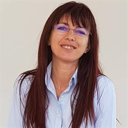 MICTA Advisor, Craiova program de funcționare