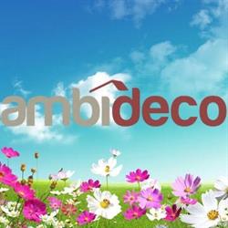 AmbiDeco, Baia Mare program de funcționare