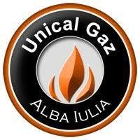 Centrale termice pe lemne, Alba Iulia program de funcționare