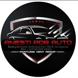 ANESTI PDR AUTO, Techirghiol program de funcționare
