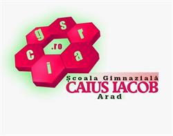 Scoala Gimnaziala Caius Iacob Arad, program de funcționare