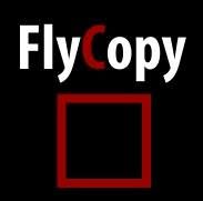 Flycopy, Bucureşti program de funcționare