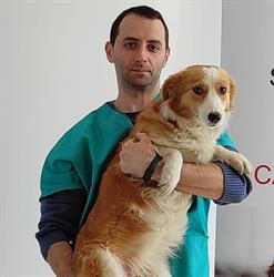 Cabinet Veterinar Cuore Pet Vet, Gura Humorului program de funcționare