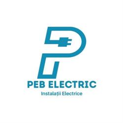 PEB Electric, Decebal program de funcționare