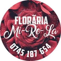 Floraria Mi-Re-La, Cobadin program de funcționare