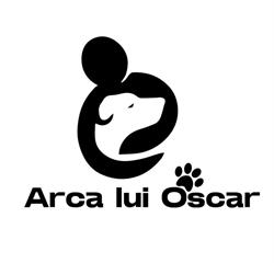 Arca lui Oscar, Siret program de funcționare