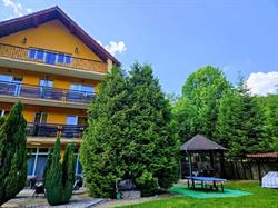 Vila Raluca, Moneasa program de funcționare