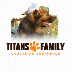 Titans Family - Caucasian Shepherd Dogs, Mihai Vodă program de funcționare