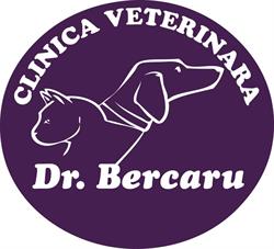 Dr. Bercaru, Bucureşti program de funcționare