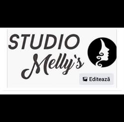 Studio Melly's, Satu Mare program de funcționare