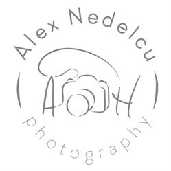 Şedinte foto newborn, copii şi maternitate - Alex Nedelcu Photography, Bucureşti program de funcționare