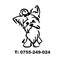 Frizerie Canina Bacau, program de funcționare