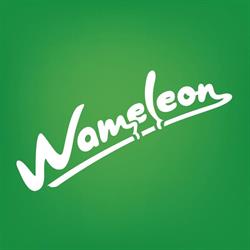 Wameleon Design - Design studio, Sfântu Gheorghe program de funcționare