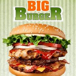Big Burger, Petrila program de funcționare