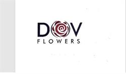 Dov flowers, Recaş program de funcționare