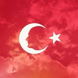 Asociatia Suporterilor Fenerbahce - Romanya Fenerbahceliler Dernegi, Bucureşti program de funcționare