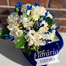 Floraria Stefara, Paşcani program de funcționare
