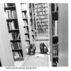 Biblioteca Judeţeană George Coşbuc, Bistriţa program de funcționare